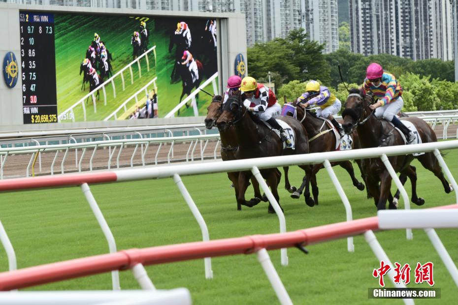 香港今晚开什么特马,执行路径精准升级_智远版22.47.61