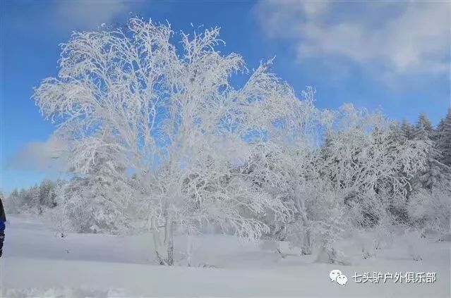 雾凇奇观：冰雪美景中的民俗文化,执行路径精准解析_锐航版20.35.59