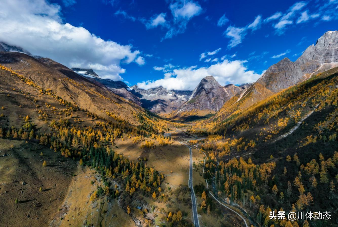 彩林之旅：自然季节变化中的文化寓意,协同能力高效执行_远航版18.36.62