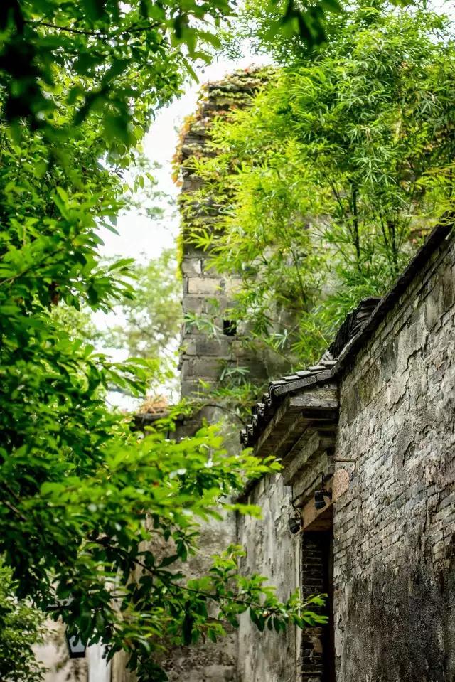 山间古村：历史建筑与自然美景的结合,科学导向全面升级_明航版19.49.68