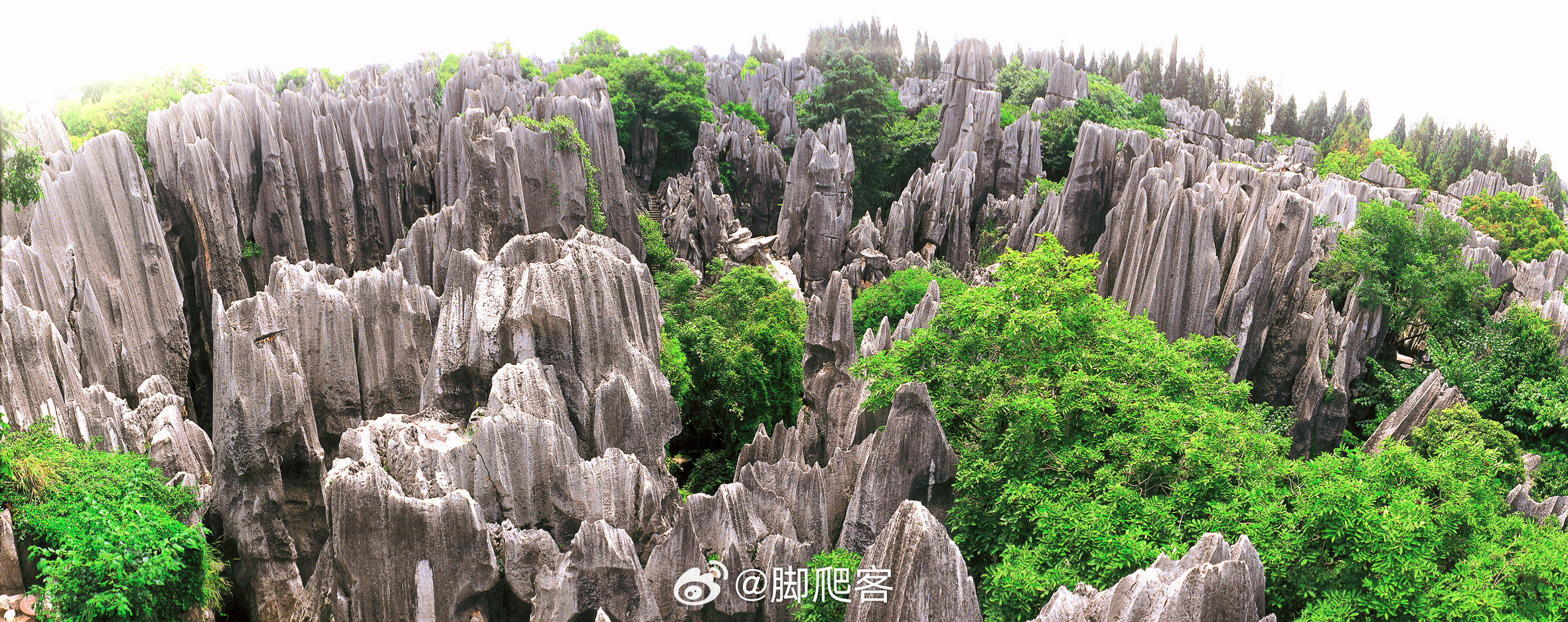 石林文化：奇特地貌中的文化历史解读,技术协同流程提升_探索版89.47.34