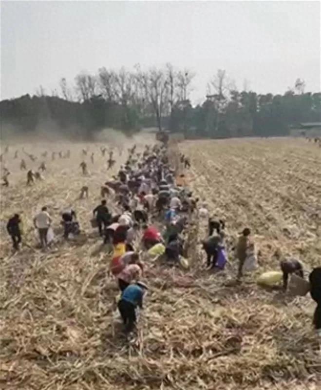 农村土地流转背景下的农民权益保障策略探究