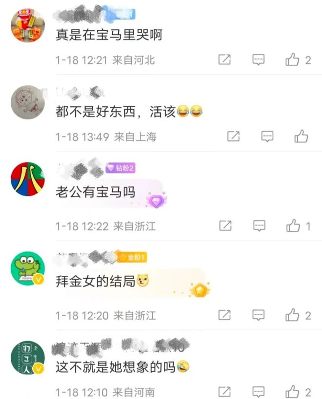 网络键盘侠法律边界争议，言论自由的平衡与挑战