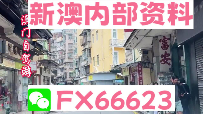 新澳精选资料免费提供,数字智慧解决全景图_开拓版98.14.61