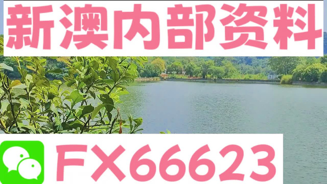 新澳精准资料免费提供265期,全域化管理驱动方案_引领未来76.29.82