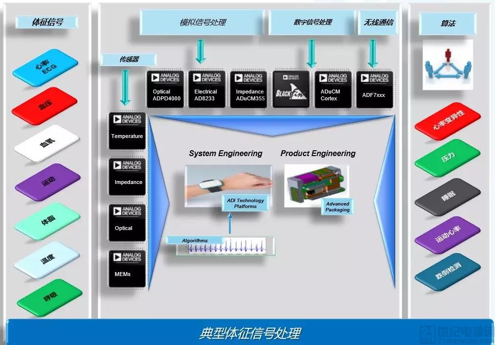 智能穿戴设备，助力健康监测与管理的新力量