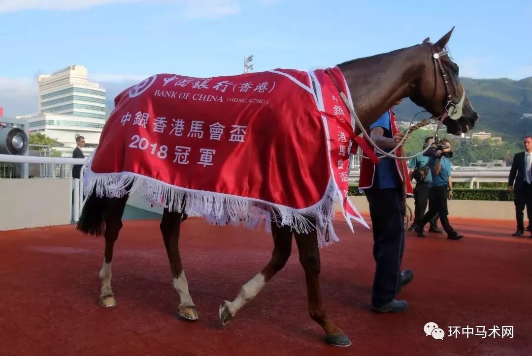 ww777766香港马会总纲诗,协作能力方案提升_锐航版60.31.69