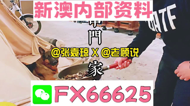 管家婆精准资料大全免费4295,数据驱动精准治理_星韵版27.19.81