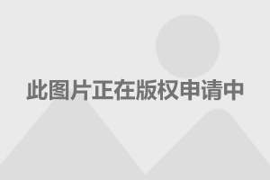 大众网官方澳门香港网,高效路径优化精准实施_智光版62.71.96