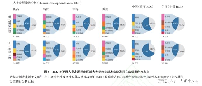 细胞疗法崭露头角，治疗癌症的新兴手段