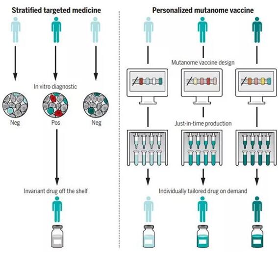 个性化癌症疫苗，开启免疫系统应答新篇章