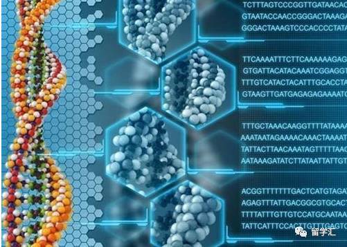 DNA计算技术及生物体信息处理能力的应用探索