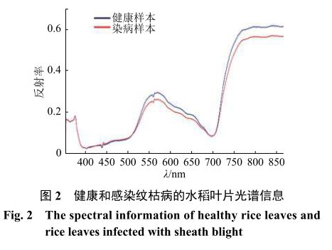 高光谱成像技术在皮肤与眼科疾病诊断中的实践应用