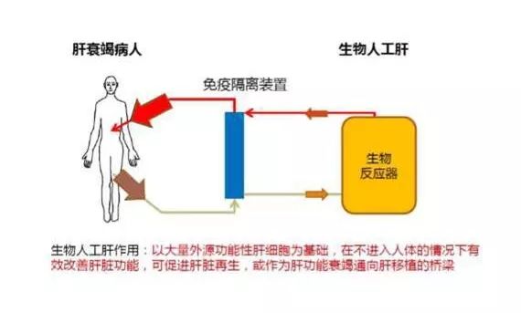 生物反馈设备在缓解压力相关疾病治疗中的应用探索