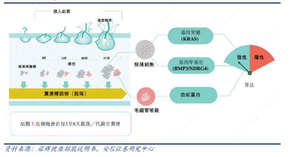 体外检测技术在肿瘤标志物筛查中的价值与应用探讨