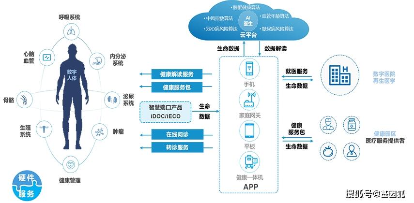 数据驱动的健康管理平台对用户粘性的影响力分析