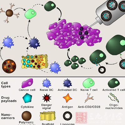 纳米技术在癌症靶向治疗药物中的应用前景展望