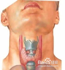 甲状腺疾病诊断标准与日常护理要点解析