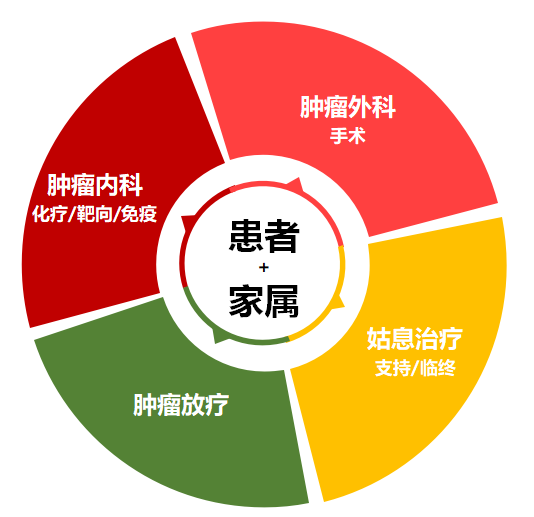 晚期癌症患者的姑息治疗与心理干预策略探讨