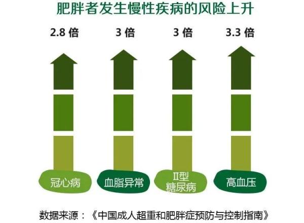 肥胖对心血管疾病的潜在风险与干预策略探究