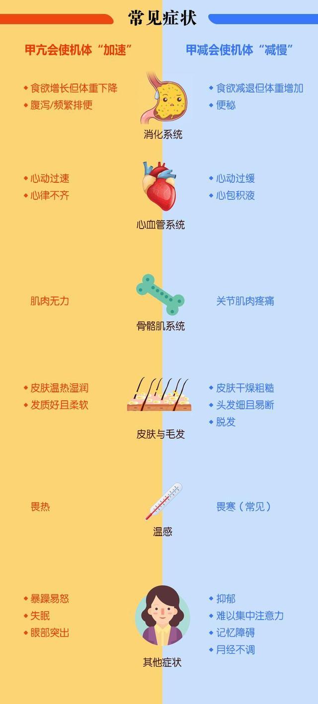 甲亢与甲减，症状差异及诊疗方法深度解析