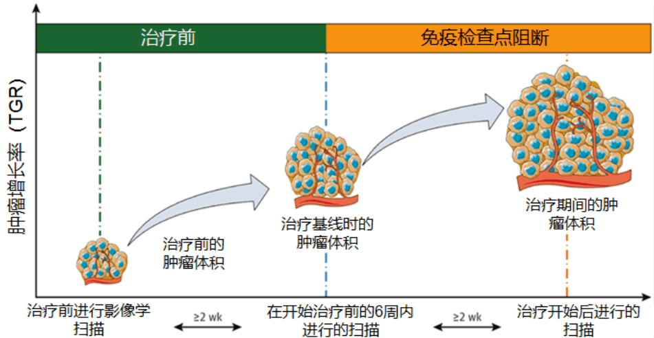 肿瘤免疫治疗进展及临床应用前景探讨