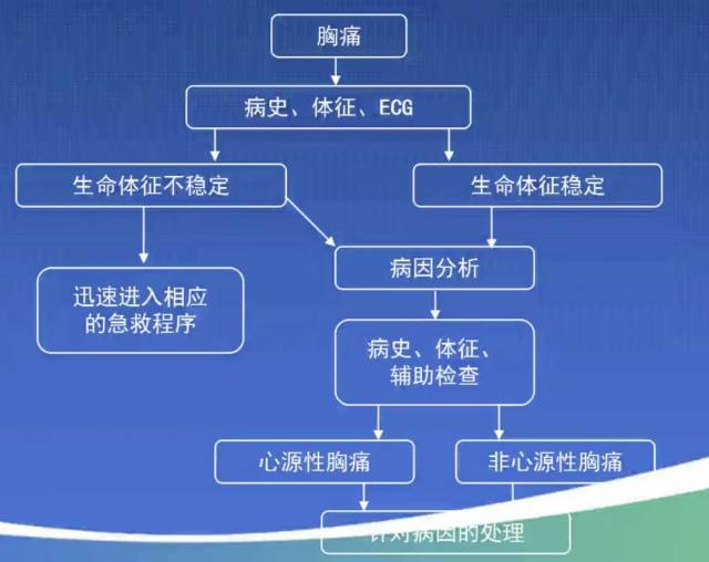 胸痛原因解析与心血管急诊判断依据探讨