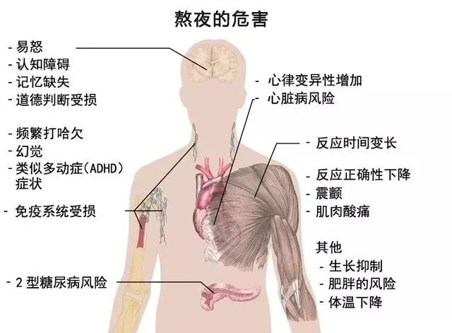 经常熬夜对内分泌系统的潜在危害