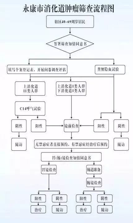 医疗AI在消化道肿瘤筛查中的精准预测能力