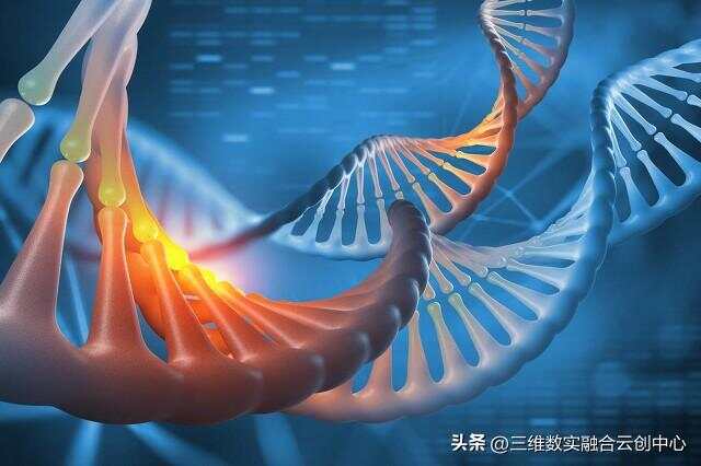 基因编辑技术与个性化医疗的未来展望