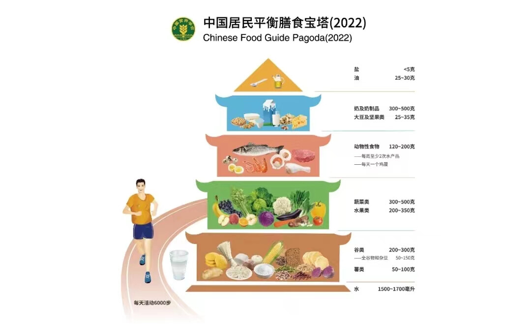 AI饮食规划工具，提升日常膳食质量与健康的关键之道