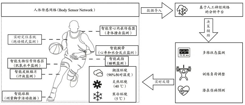 可穿戴设备助力日常运动习惯长期跟踪与优化