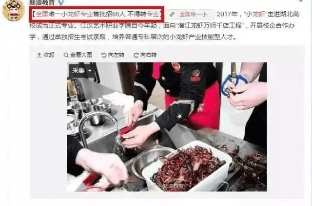 地方特产如何蜕变成为网红美食的秘诀？