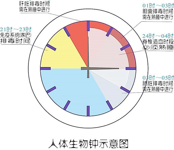 科学调整时差，恢复优质睡眠状态的方法