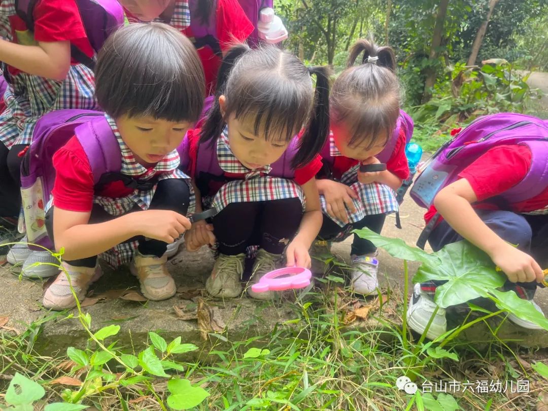 自然探索活动在早期教育中的重要性及其适用性探讨与影响分析