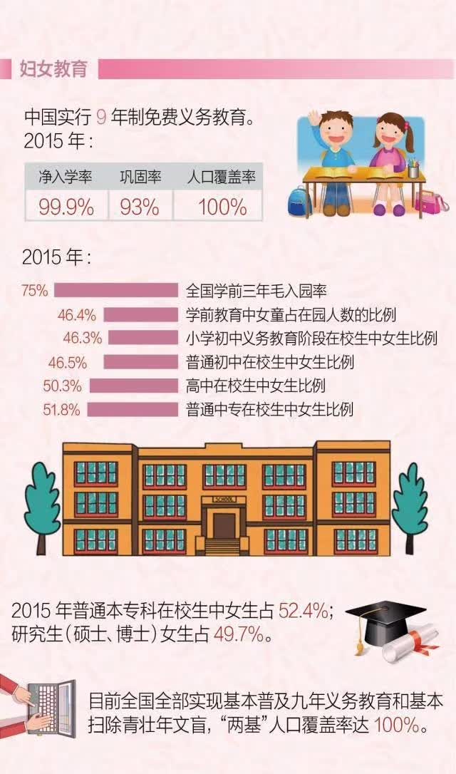 法律在推动性别平等与社会和谐中的关键作用研究