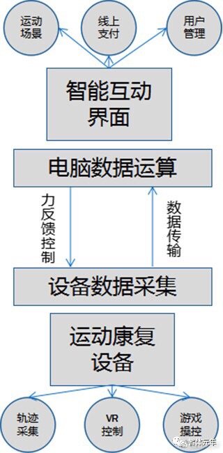 智能运动设备的社交化功能应用探索