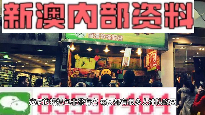 新奥天天精准资料大全，深度探索与全面解析