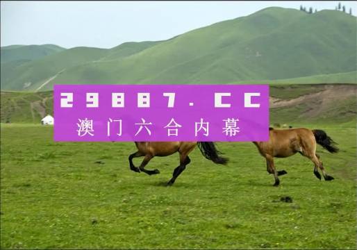 跑狗论坛版，数字交汇的探讨之旅