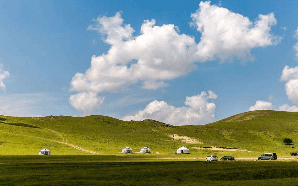 草原之旅，体验草原风情的绝佳目的地魅力无穷