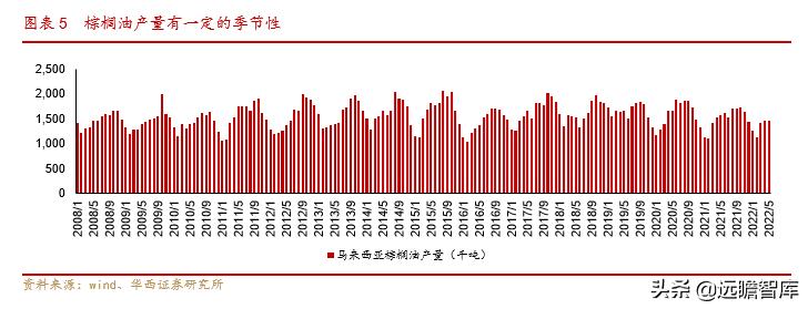 季节性食物对健康的特殊功效研究揭秘