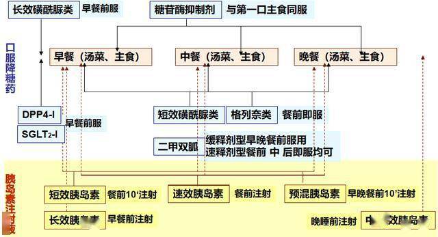 糖尿病患者饮食管理全攻略