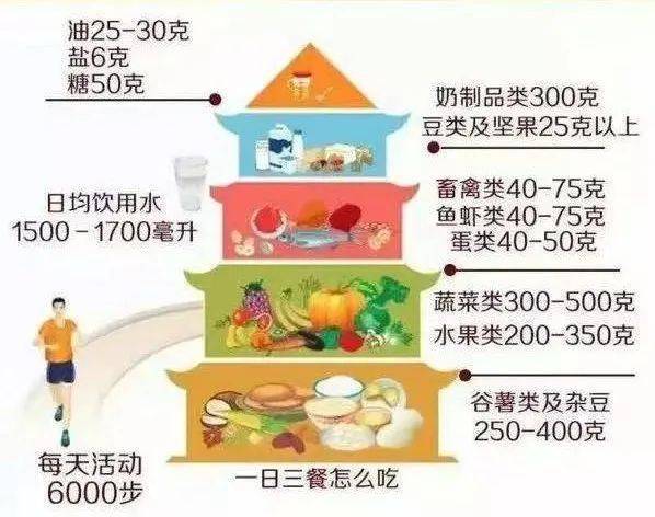 老年人健康饮食计划设计指南