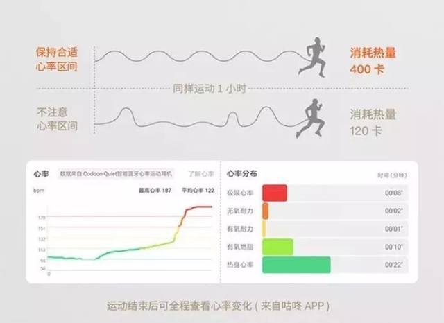 健身训练与心率实时监控技术深度解析