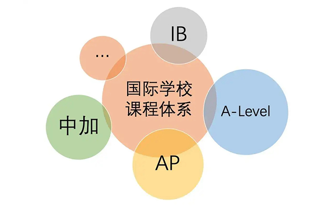 国际教育课程体系深度解析