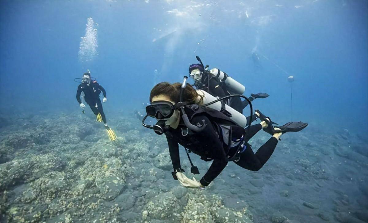 深海潜水旅行，生态保护的探索之旅结合之道