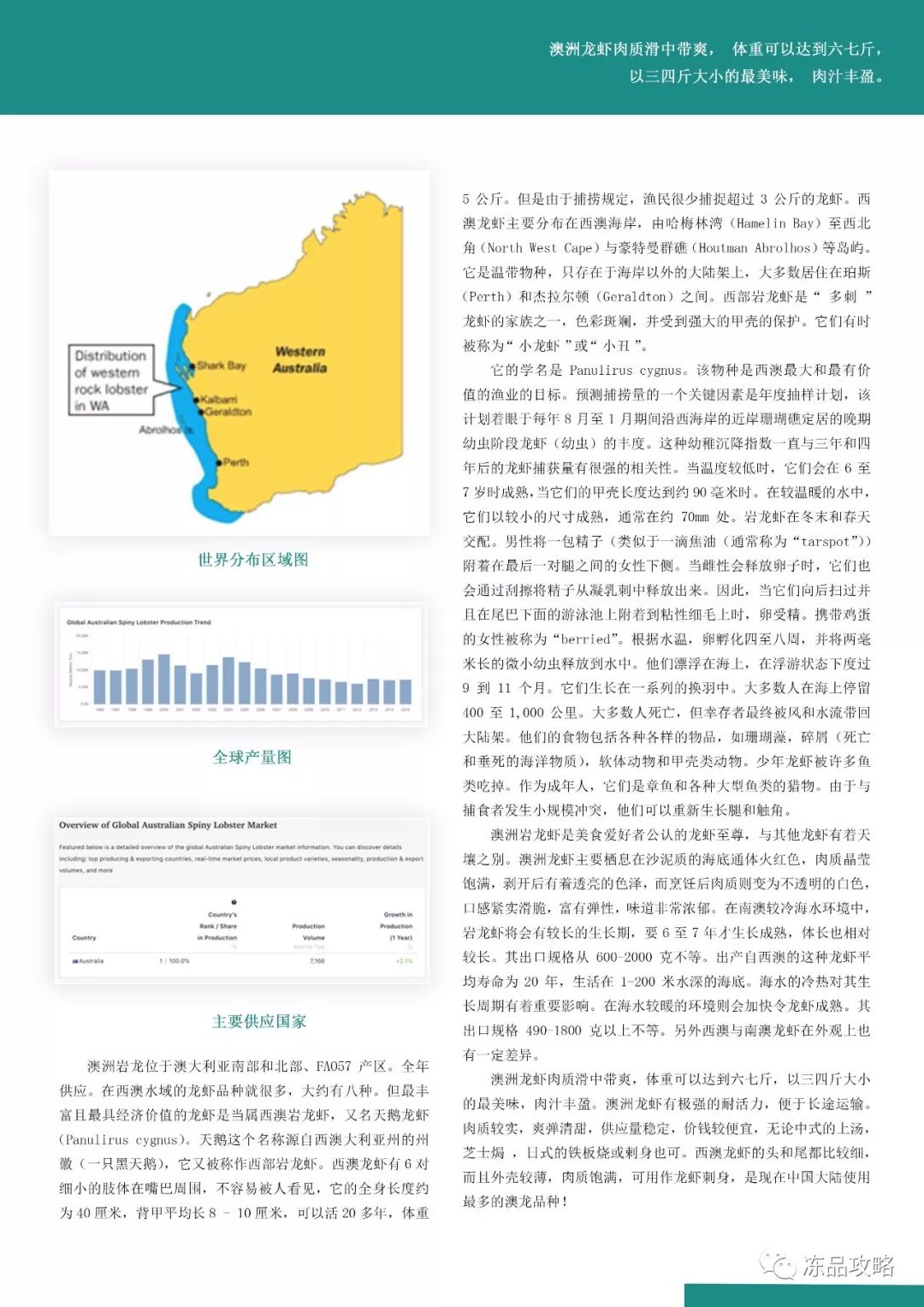 新澳正版资料免费提供,现状分析说明_限量款60.206