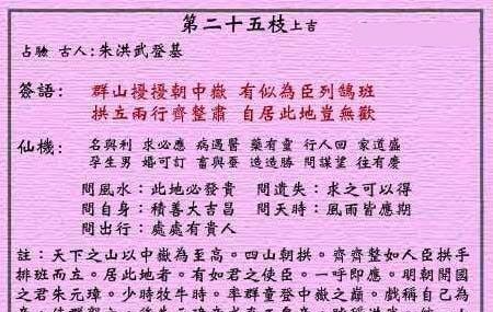 黄大仙论坛心水资料，2024年未来预测与法律合规的挑战探索