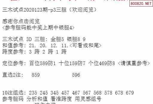 王中王三组三中三,经典解答解释定义_Windows63.117