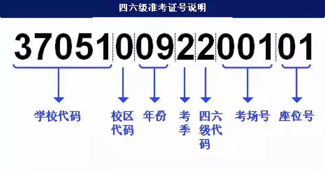 新澳门王中王100%期期中,快速解答计划设计_户外版74.654